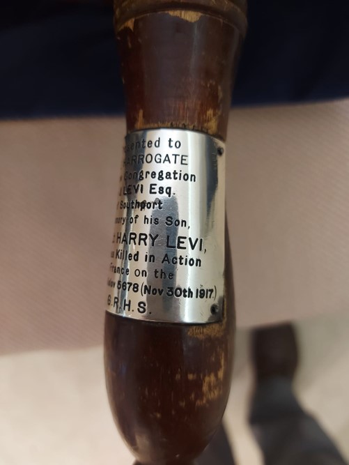 עץ החיים